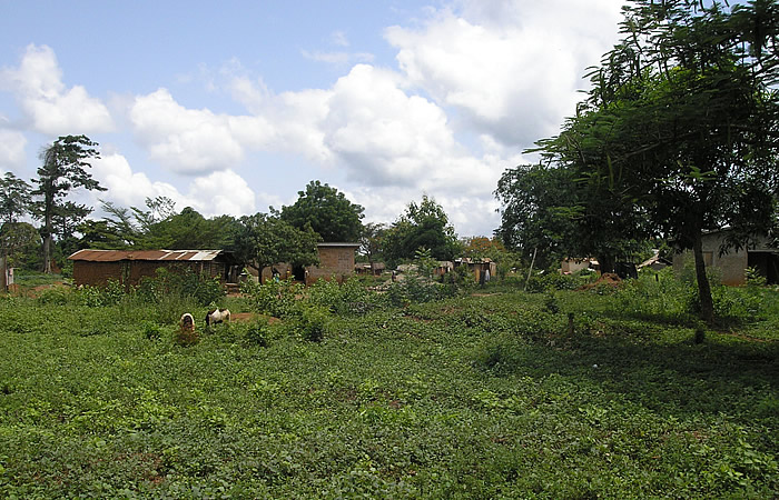 Local development plan of Kouadioblékro